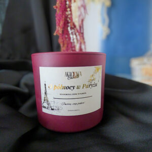 o pÓŁnocy w paryŻu